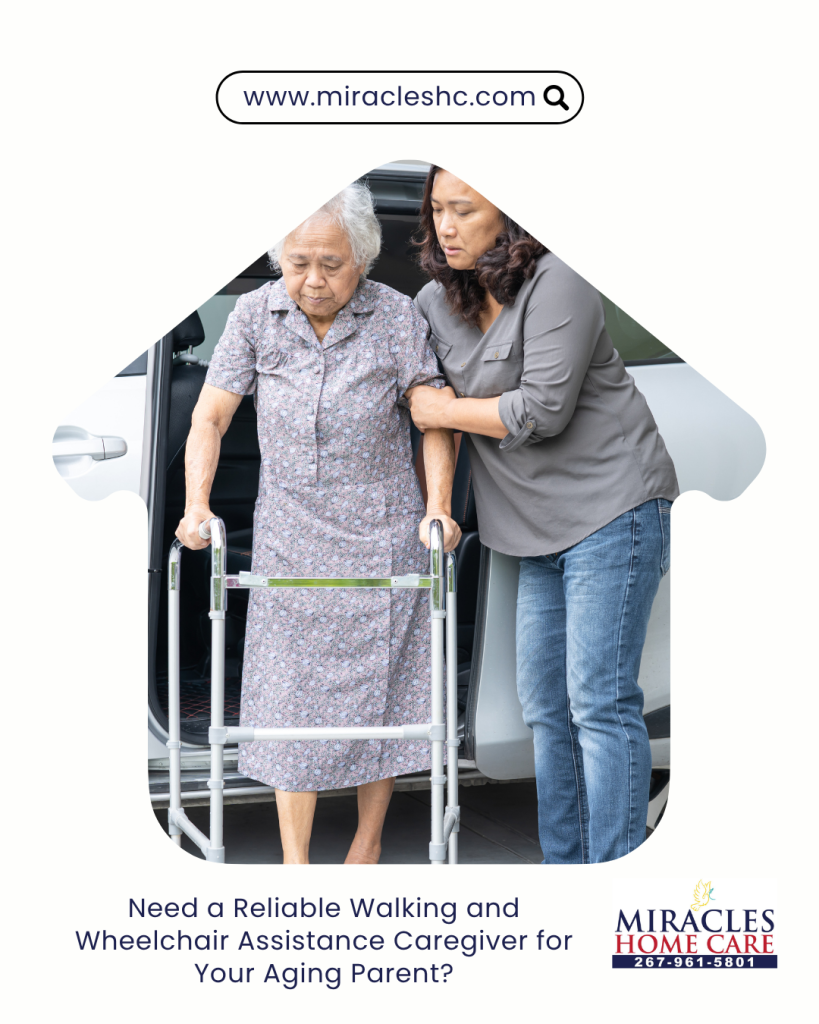 walking and wheelchair assistance caregiver